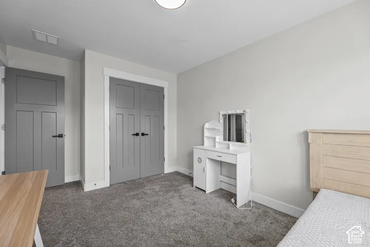 Neutral wall tones, gray panel doors with black hardware, and gray carpet flooring