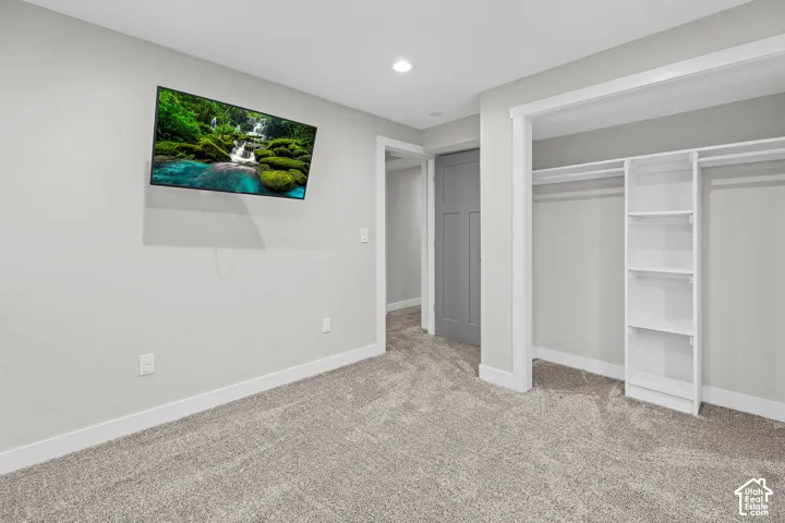 Plush carpeted flooring, built-in closet shelving, and a modern paneled door