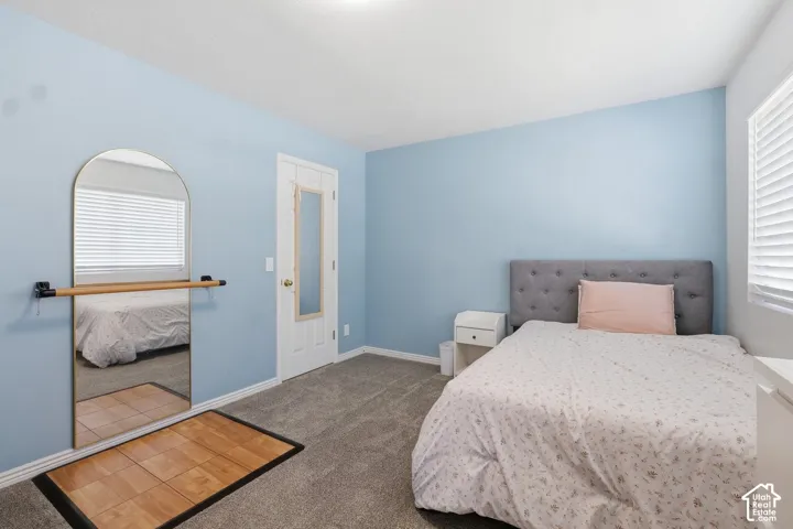 Light blue painted room with textured carpet flooring, a white paneled door with frosted glass insert, and a white window with horizontal blinds