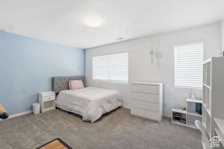 Plush carpeting, bright walls with an accent color, and multiple windows with blinds