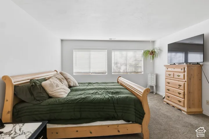 Wall-to-wall carpeting with light-toned walls and dual windows fitted with blinds