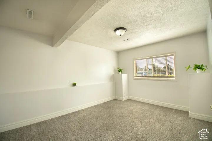 Family room basement