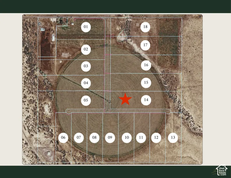 Plat Map. Illustrating the division of the property into numbered parcels