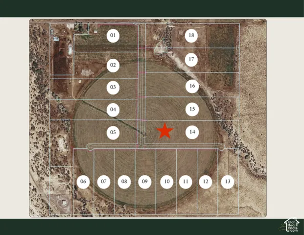Plat Map. Illustrating the division of the property into numbered parcels