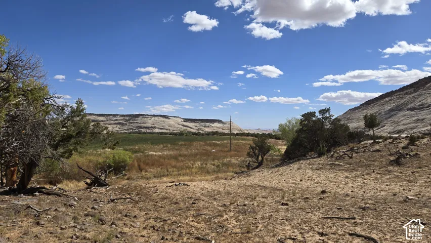 Picture is from Subdivision and area, but not the lot specifically.