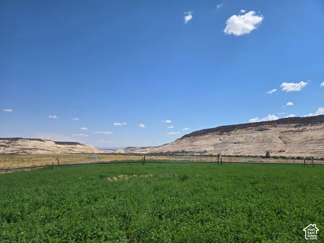 Picture is from Subdivision and area, but not the lot specifically.