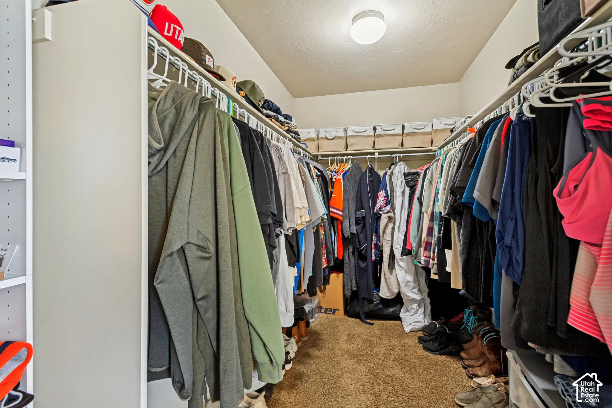 Walk-in closet featuring built-in shelving, hanging rods, carpet flooring, and an overhead flush-mount light fixture