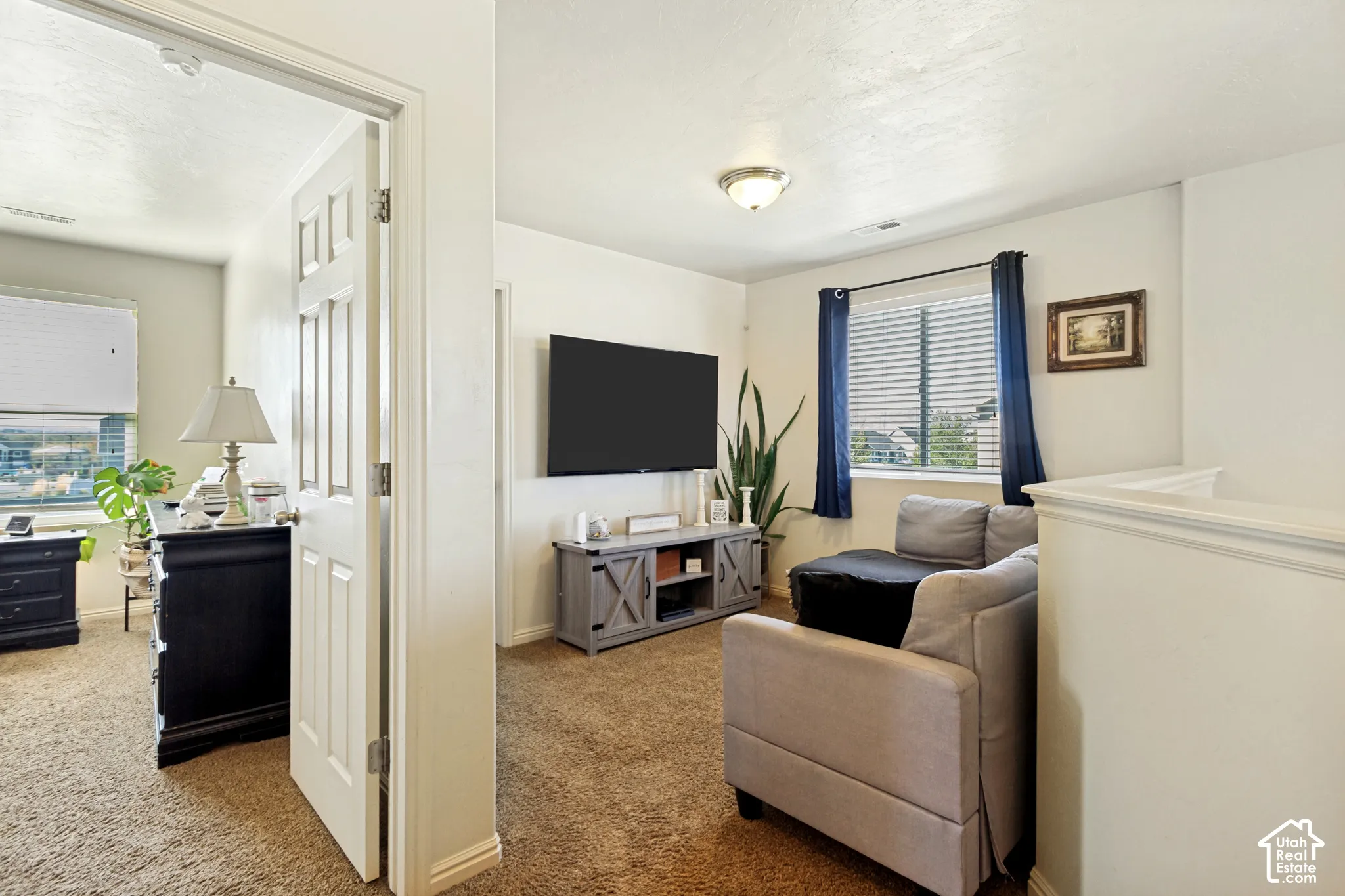 Carpeted living area with a built-in entertainment console, a window with blinds and dark curtains, and a ceiling-mounted light fixture