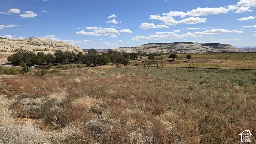 Picture is from Subdivision and area, but not the lot specifically.