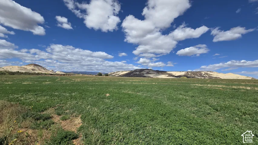 Picture is from Subdivision and area, but not the lot specifically.
