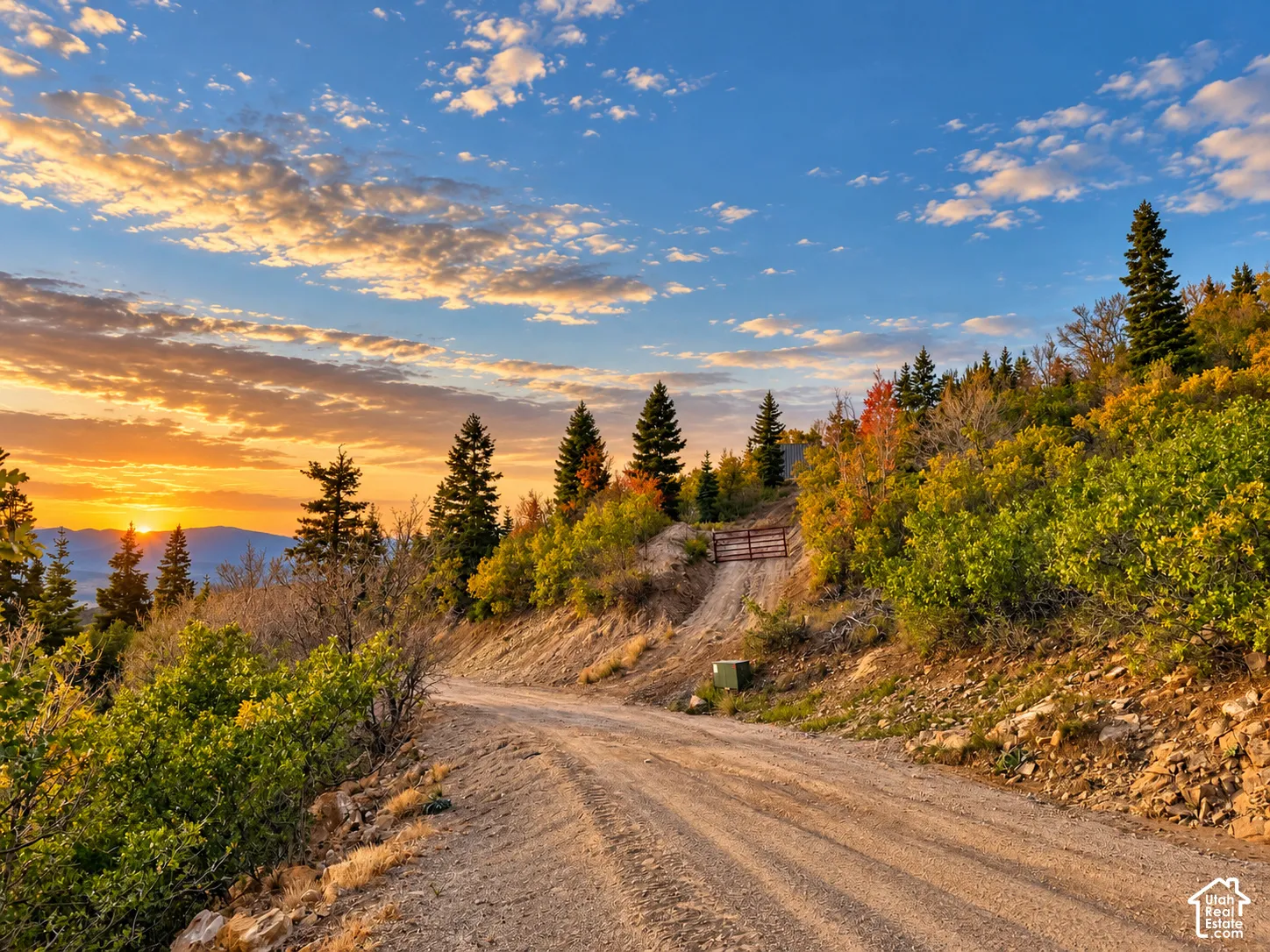 Gravel road with a wooden gate, flanked by abundant evergreen and deciduous trees, set against a mountain backdrop
