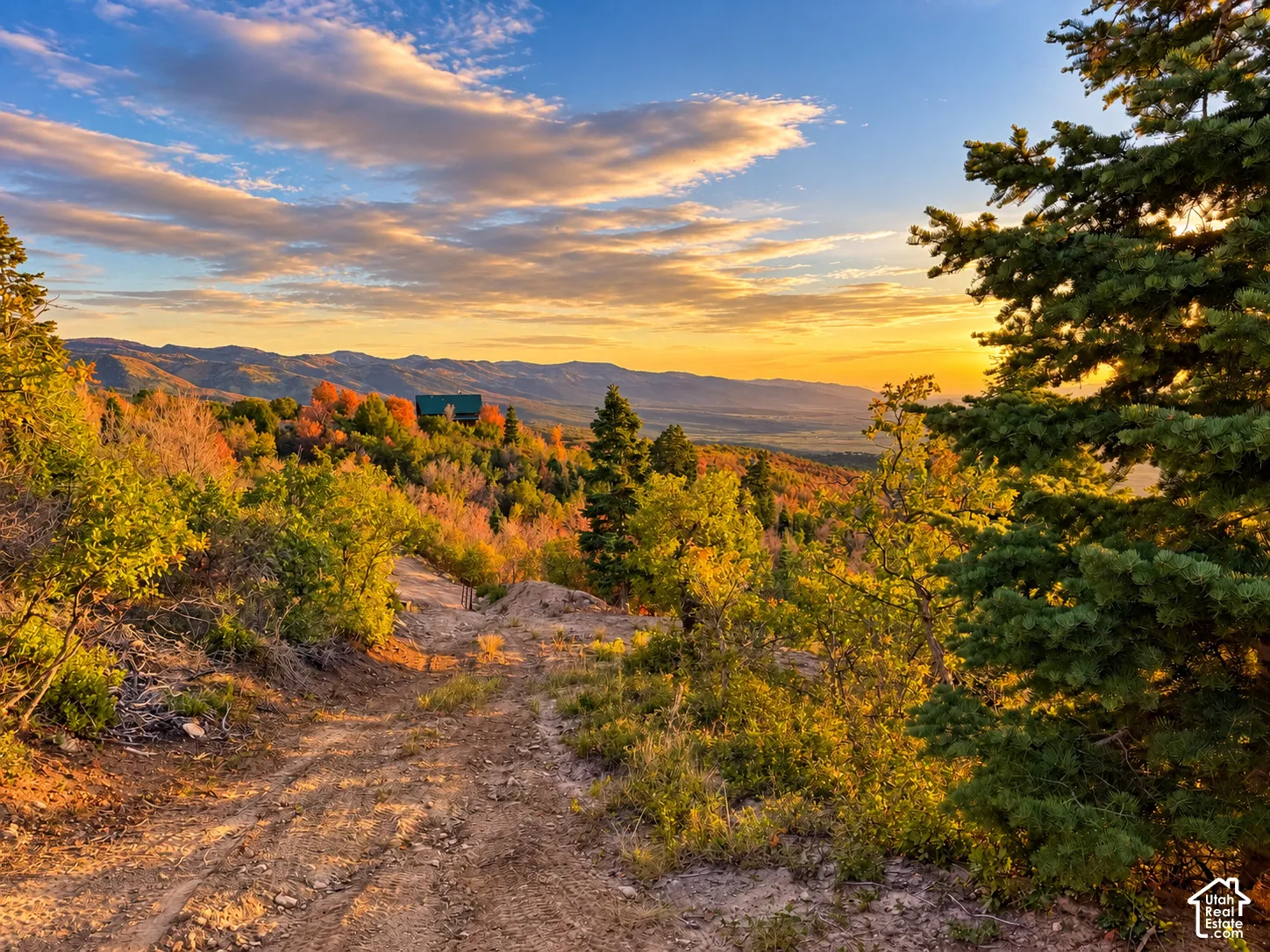 Expansive natural terrain featuring a building structure, diverse foliage, and mountain scenery