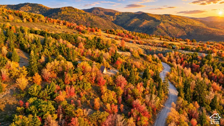 Mountainous landscape with diverse tree coverage, a curved roadway, and a distant structure
