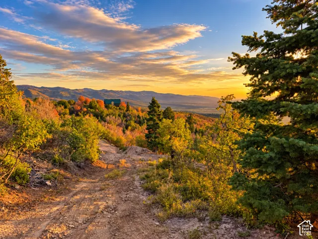 Expansive natural terrain featuring a building structure, diverse foliage, and mountain scenery