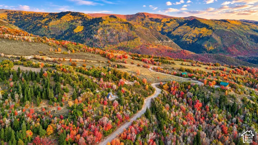 Winding road through a mountainous landscape with diverse tree coverage