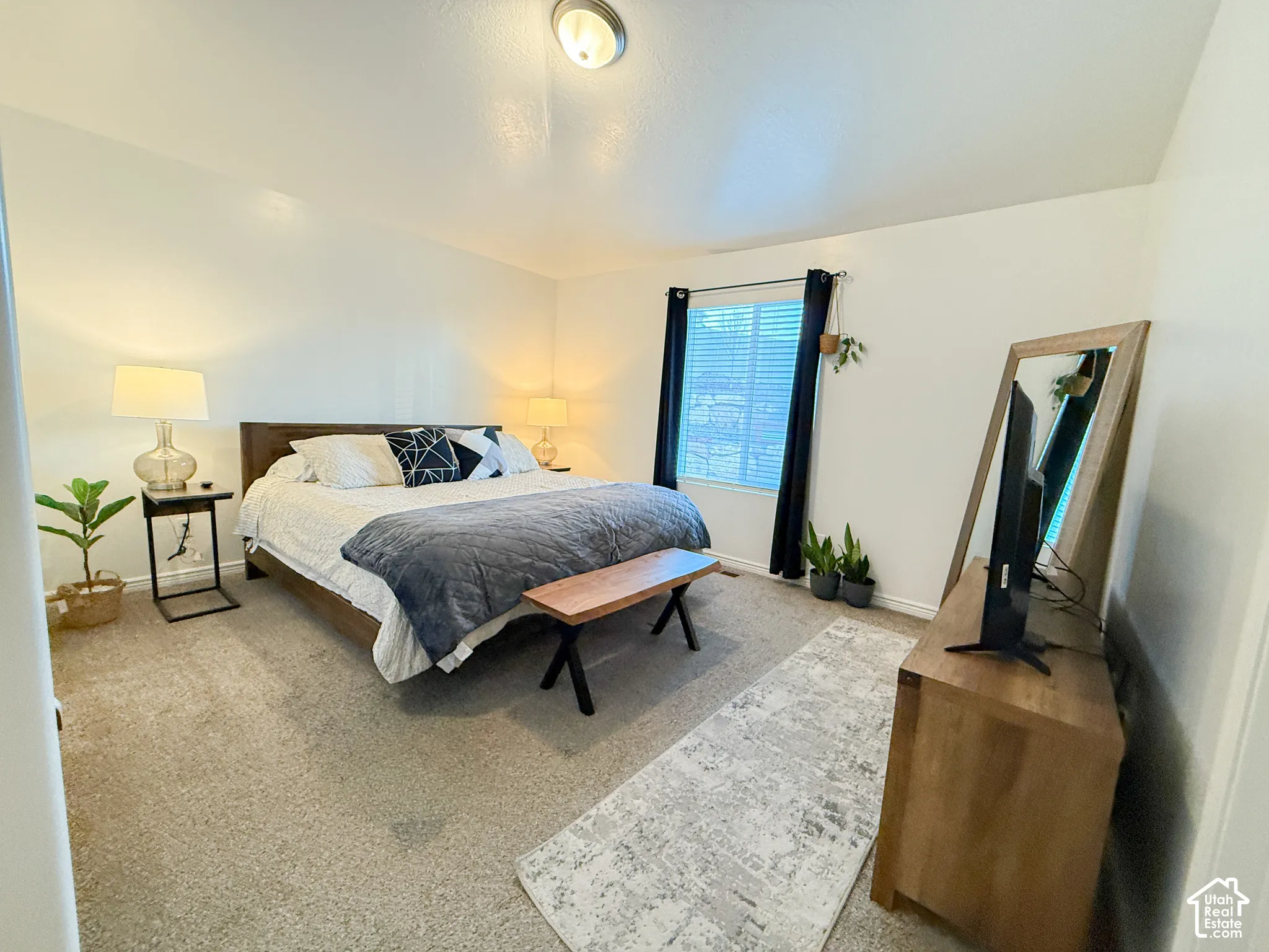 Carpeted flooring, window with blinds, and a ceiling-mounted light fixture