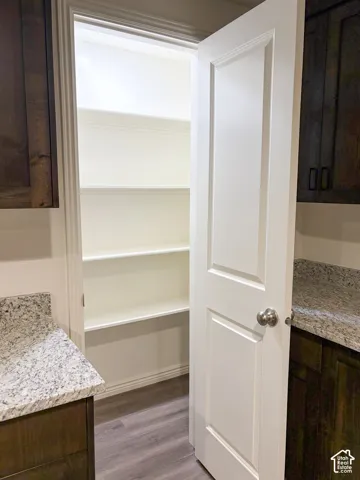 Pantry with built-in shelving, wood-finish flooring, and a white panel door