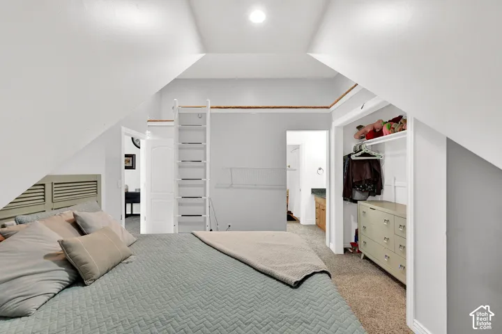 Sloped ceilings, built-in shelving, carpet flooring, and a ladder leading to an elevated space