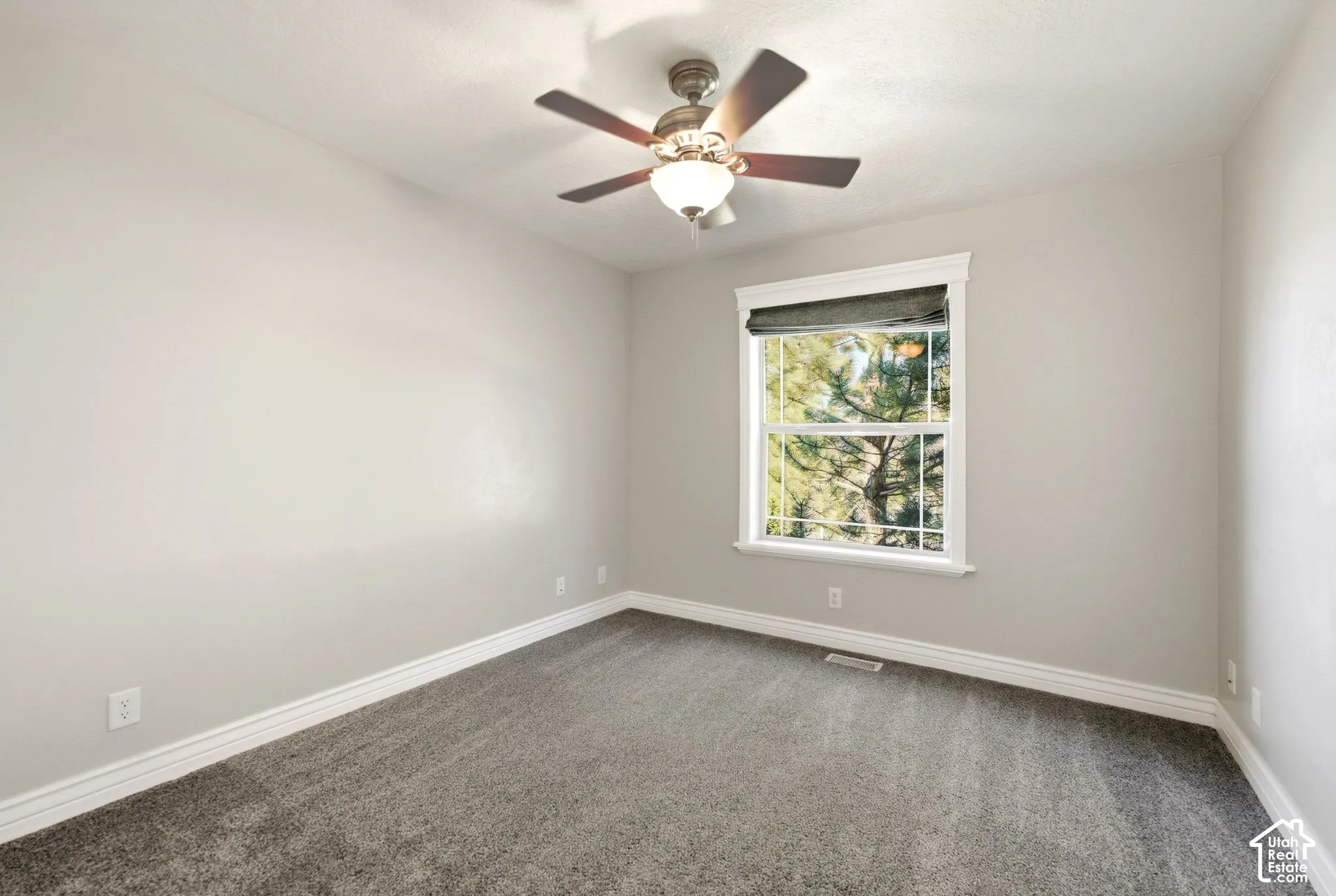 Ceiling fan with integrated lighting