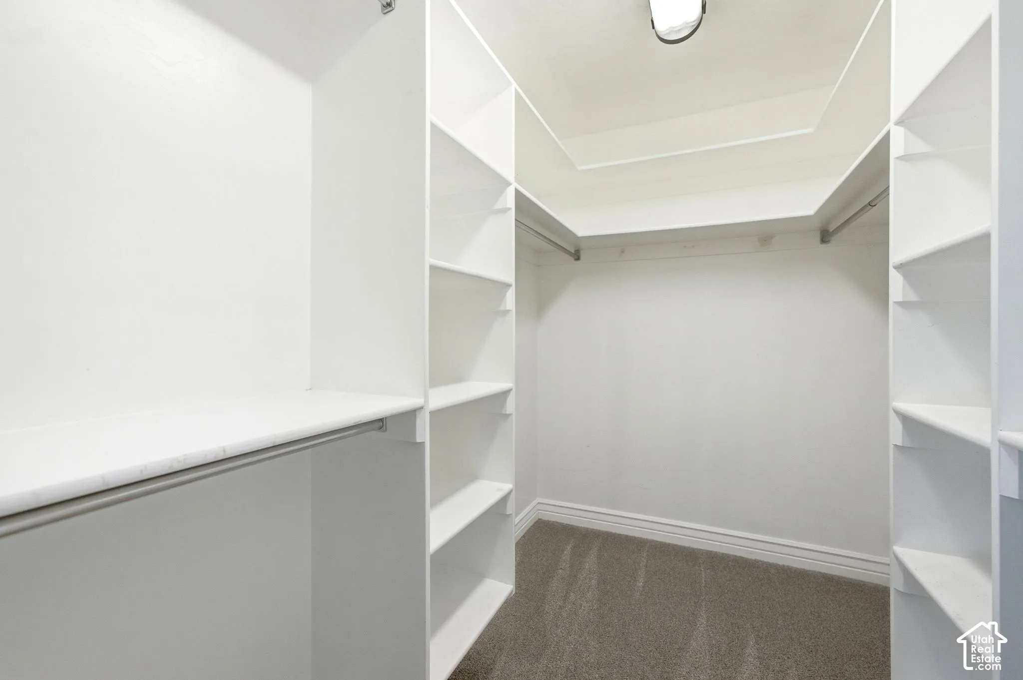 Walk-in closet featuring built-in shelving, hanging rods, and carpet flooring