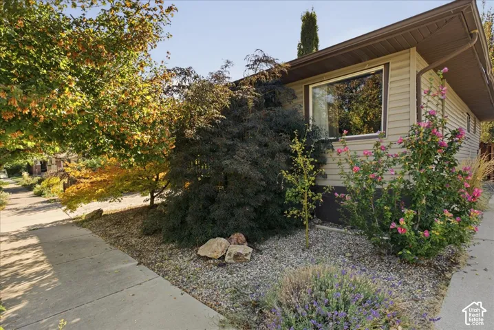 Siding exterior with multiple windows, complemented by a concrete sidewalk and a gravel ground cover