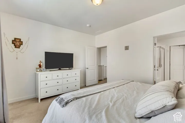 Neutral wall paint, carpeted flooring, and a ceiling-mounted light fixture