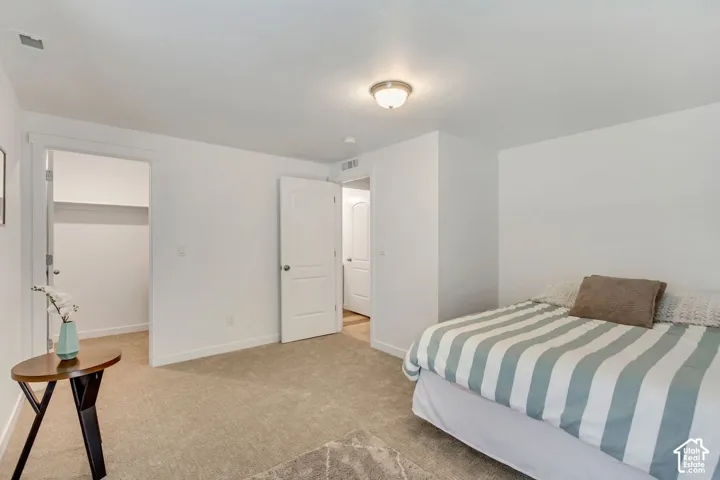 Neutral wall paint with carpeted flooring, featuring a built-in closet with shelving and a flush mount ceiling light fixture