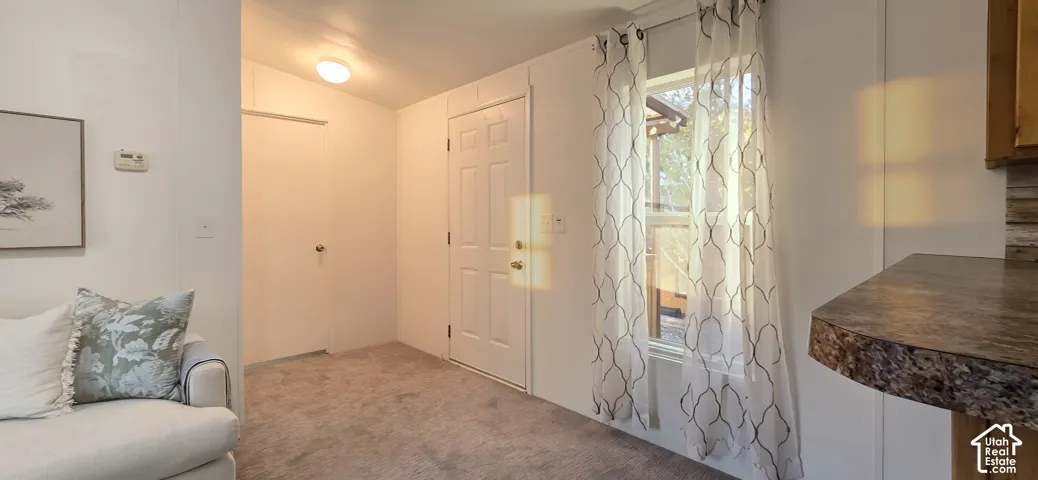 Carpeted flooring, window with sheer curtains, paneled walls, flush mount lighting, and a solid surface countertop