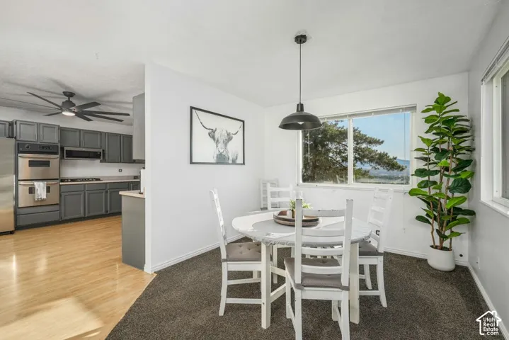 Recessed kitchen with gray cabinetry, stainless steel appliances, and wood-finish flooring