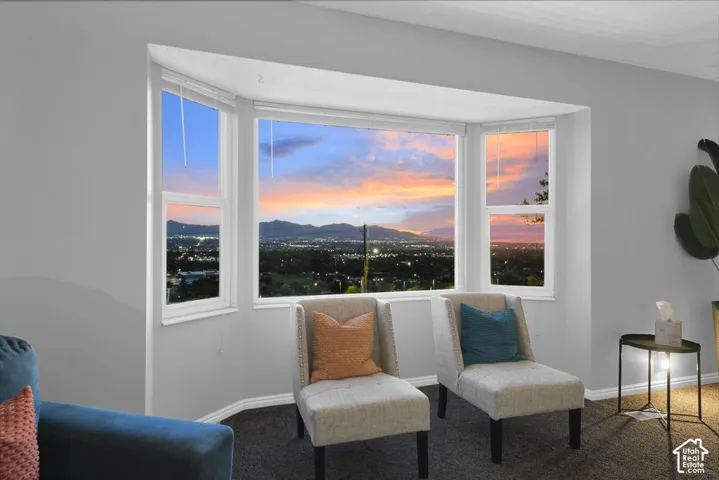 Bay window with expansive scenery
