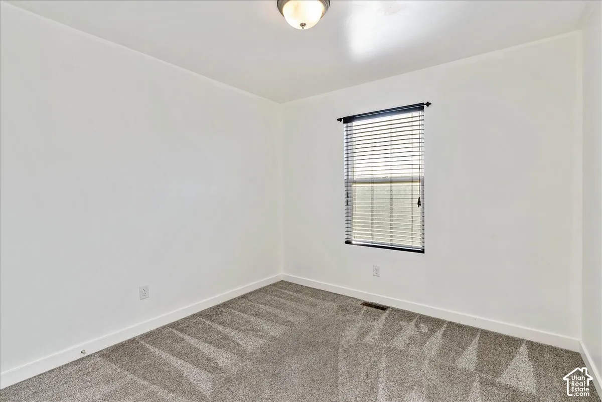 Recessed window with horizontal blinds, overhead ceiling light fixture, and wall-to-wall carpeting