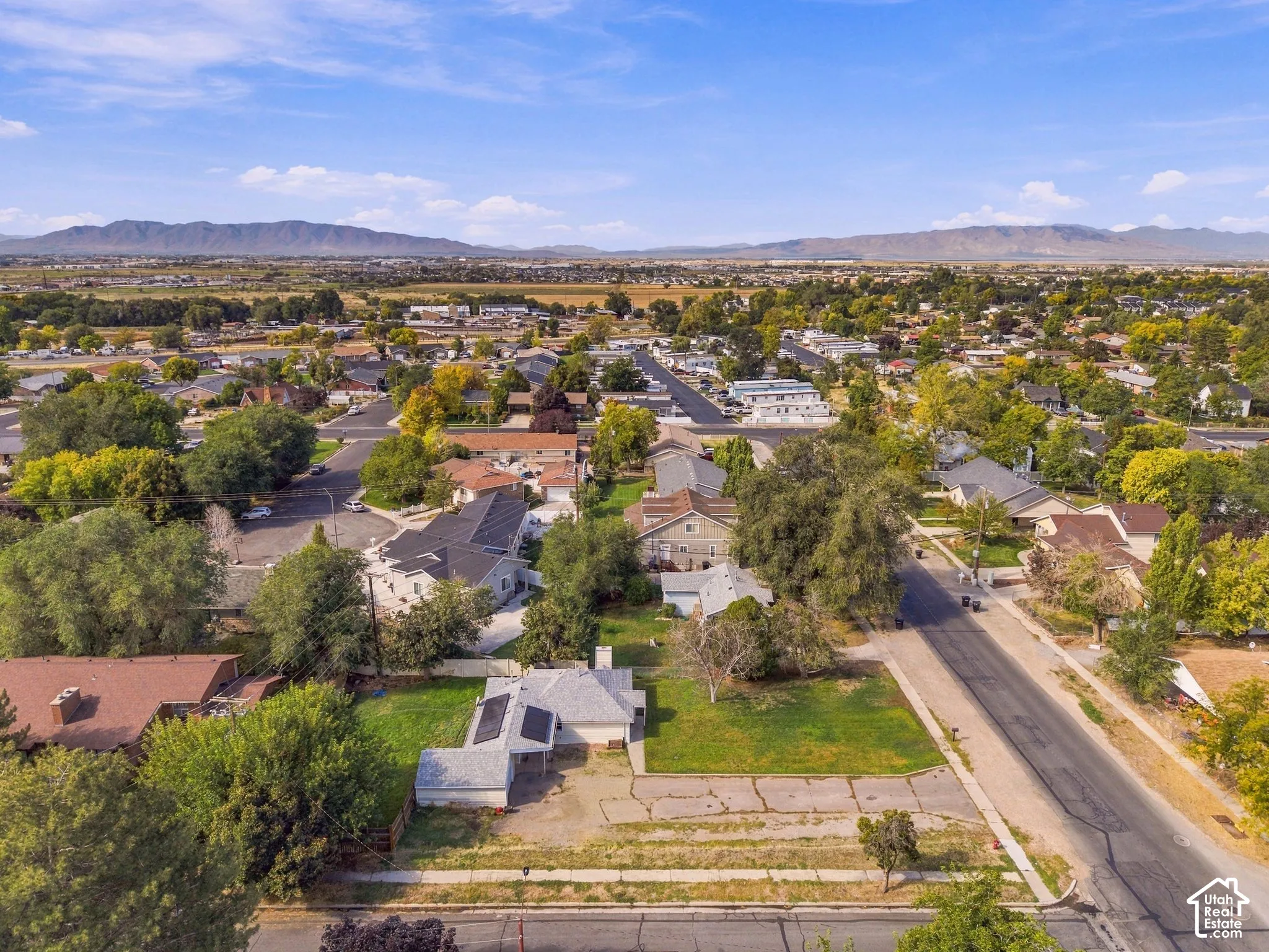 Residential neighborhood featuring mature trees and a distant mountain range