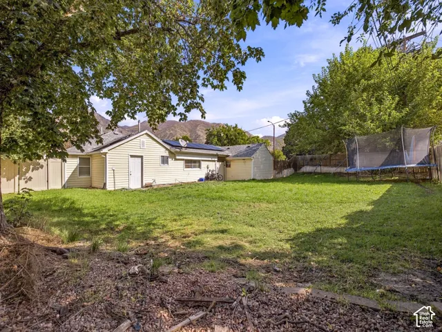 Expansive backyard featuring a manicured lawn, established trees, and a detached storage shed