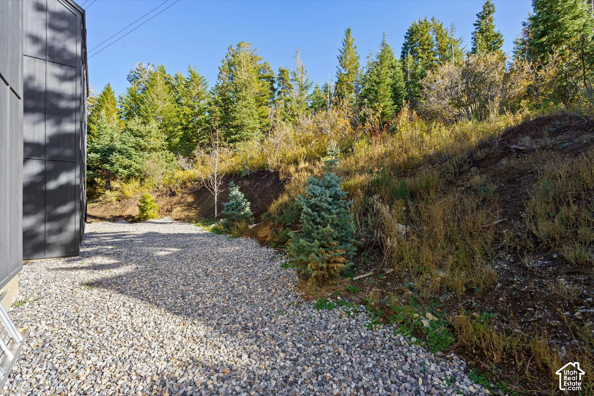 Back yard. Gravel hardscaping area bordered by mature evergreen trees and natural hillside landscaping