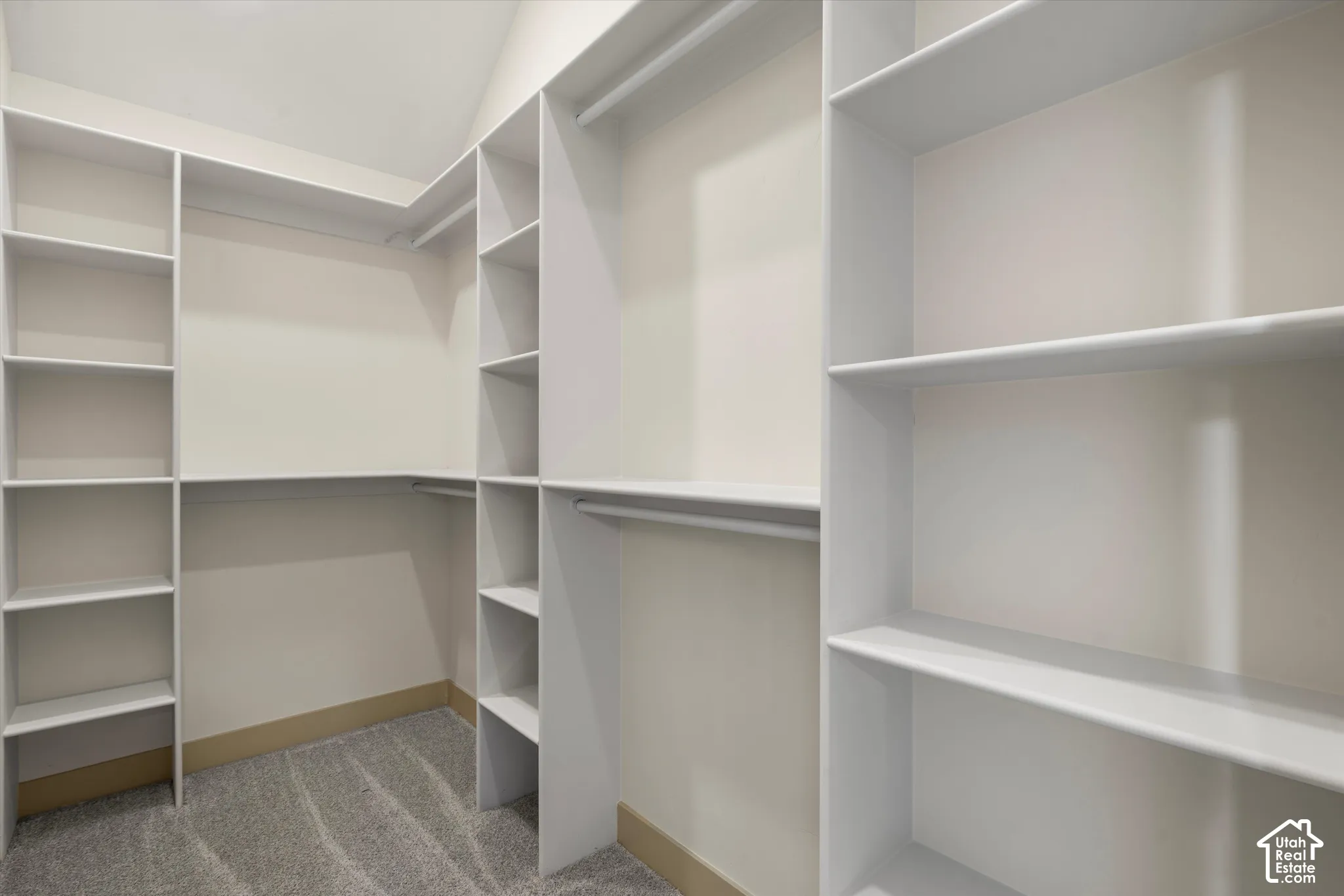 Primary Walk-in closet with carpet flooring, white built-in shelving, and multiple hanging rods