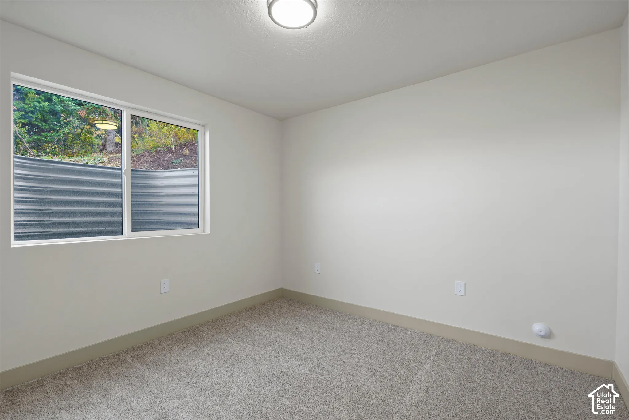 Wall-to-wall carpeting, neutral wall finishes, and a single window with a corrugated metal window well