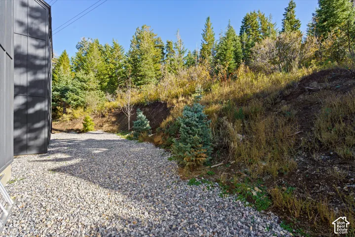 Back yard. Gravel hardscaping area bordered by mature evergreen trees and natural hillside landscaping