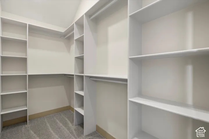 Primary Walk-in closet with carpet flooring, white built-in shelving, and multiple hanging rods
