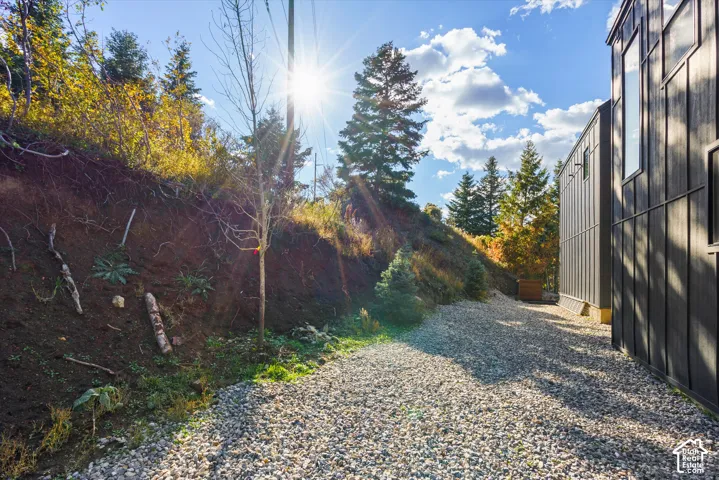 Back yard with trees. Gravel path leading to the entrance, bordered by natural landscaping and mature trees