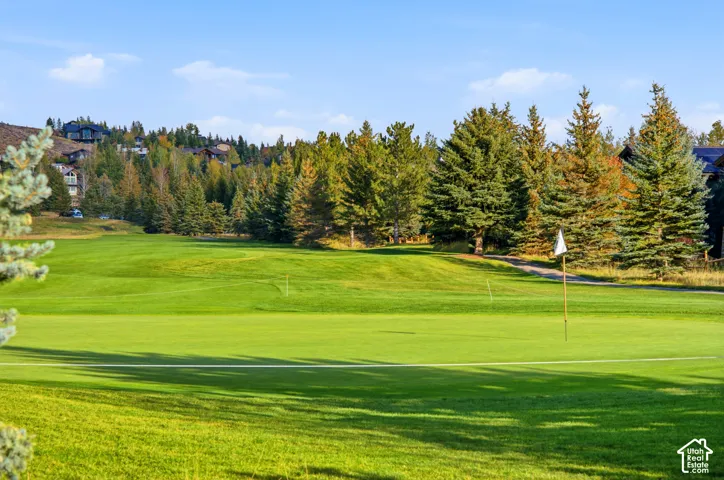 Expansive green space featuring a golf course and mature evergreen trees