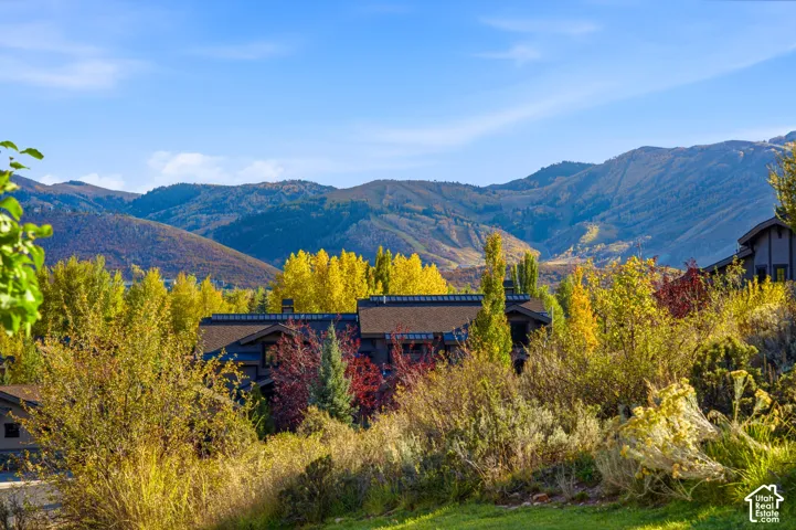 Mountain backdrop with a clear blue sky