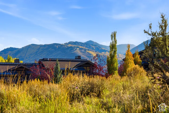 Exterior featuring a brown roof, visible chimneys, and a natural landscape with varied foliage