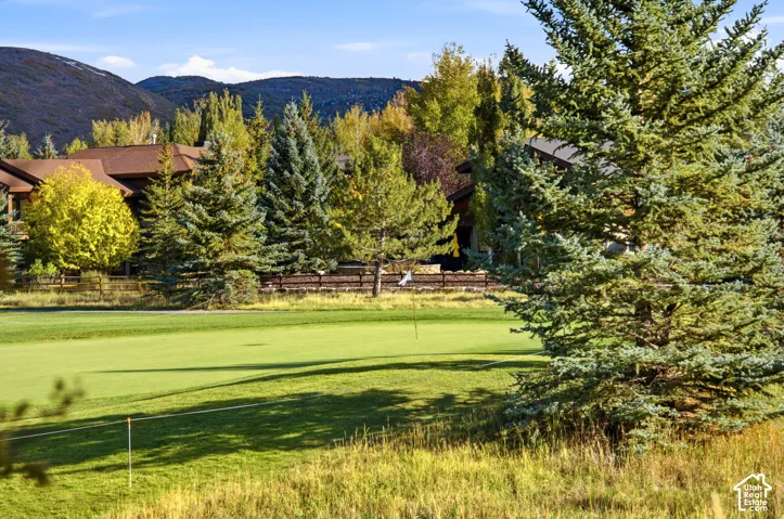 Manicured golf green with a flagstick, bordered by a wooden fence