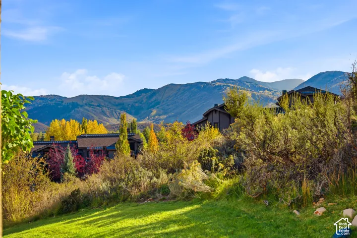 Expansive sloped lawn with varied landscaping featuring mature trees and shrubs, set against a backdrop of distant mountains