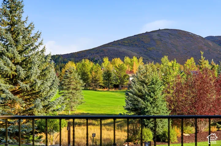 Mountainous backdrop, expansive green space, mature evergreen trees, varied deciduous foliage, dark metal railing