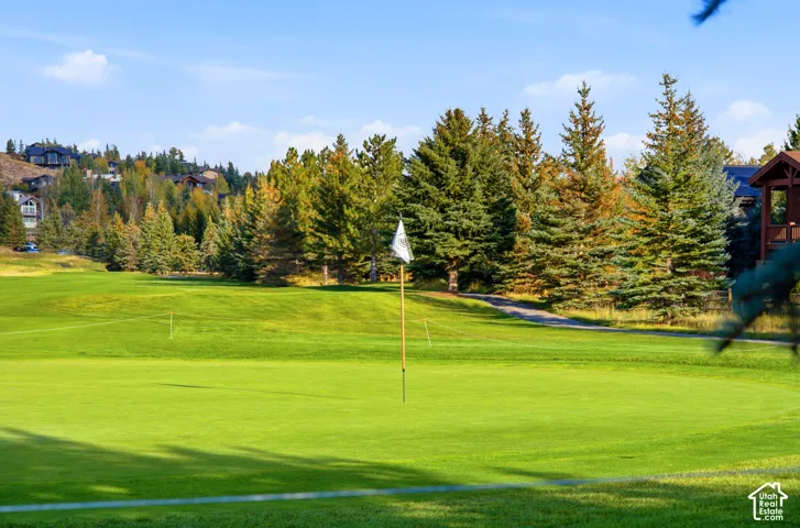 Expansive green golf course featuring a flagstick and surrounding mature evergreen trees