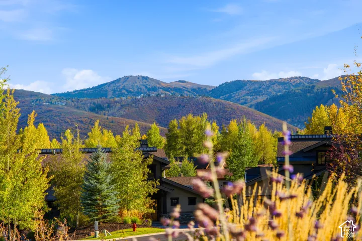 Property exterior featuring a multi-level roofline, stone accents, and varied natural landscaping