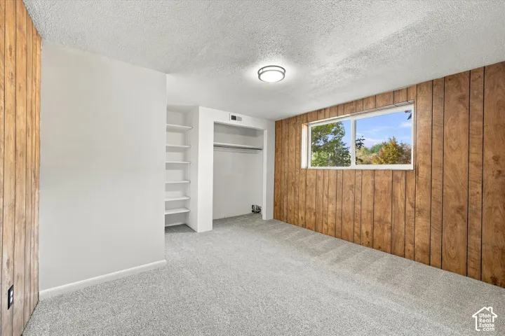 Wood-paneled accent wall, built-in shelving, integrated closet space, light-colored carpeting, and a flush-mount ceiling fixture