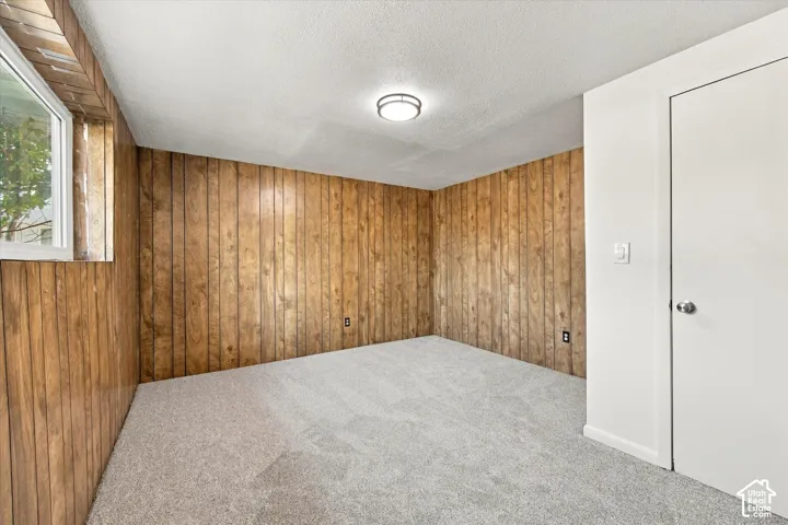 Wood-finish paneling, soft gray carpeting, white painted door, and recessed window