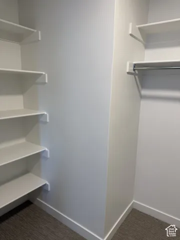 Built-in shelving, chrome hanging rod, and carpet flooring within a closet space